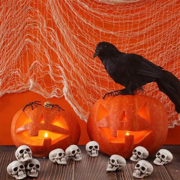 10 Pieces Halloween Skeleton Head Small Mini Skulls for Halloween Party - Picture 6 of 6